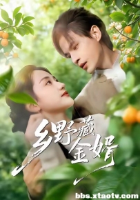 乡野藏金婿（50集）冯琳玲＆吴杰